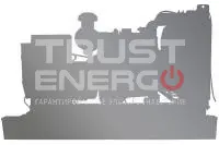 Электроагрегат дизельный TRUSTENERGO АД-50С-T400-1Р-WG