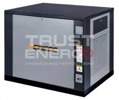 Газовый генератор Genese Standard 7500 Neva кожухе