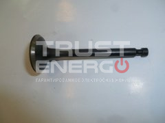 Клапан выпускной KG390/Exhaust valve ТРАСТ-ЭНЕРГО
